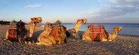 Marsa Alam