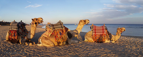 Marsa Alam