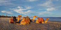 Marsa Alam