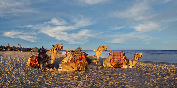 Marsa Alam