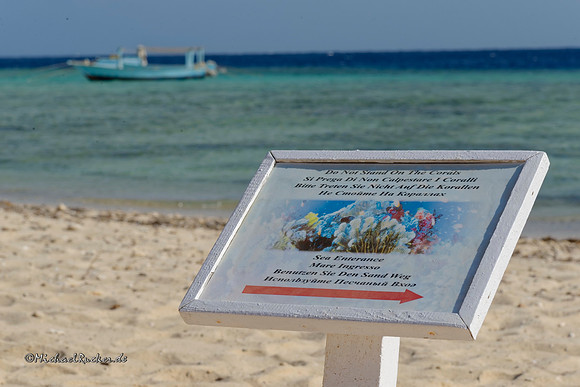 Ägypten Marsa Alam 66
