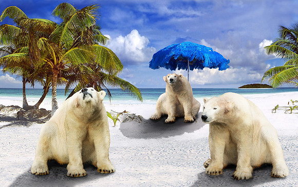06 Klimawandel_resize