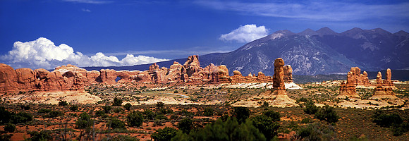 USA_14