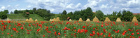 DSC_1872 Panorama_resize
