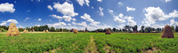 Freilandmuseum Bad Windsheim_06_resize