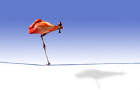 Balance_resize