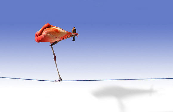 Balance_resize
