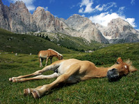Relax 2_resize
