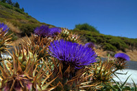 2010-08-14-Teneriffa-LaGomera-096