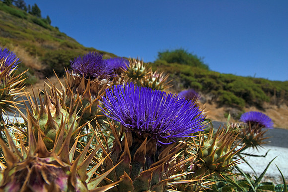 2010-08-14-Teneriffa-LaGomera-096