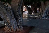 2010-08-14-Teneriffa-LaGomera-084
