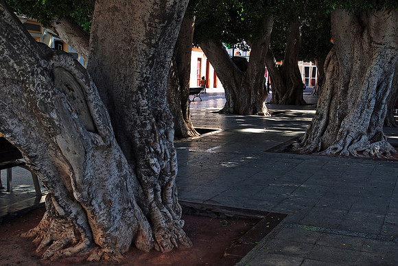 2010-08-14-Teneriffa-LaGomera-084