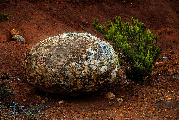 2010-08-14-Teneriffa-LaGomera-101