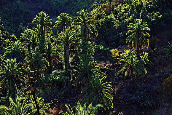 2010-08-14-Teneriffa-LaGomera-140