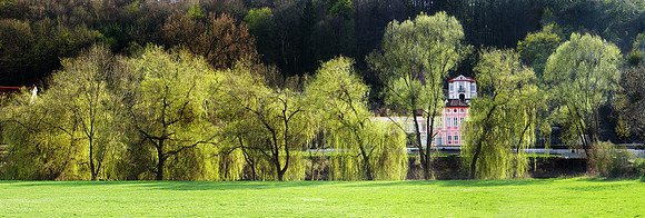 Baeume_Pflanzem_Blumen_72