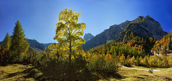 Baeume_Pflanzem_Blumen_18