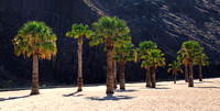 2010-08-19 09-34-32_resize