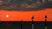 Cavallino bei Venedig 3_resize
