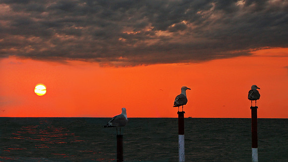 Cavallino bei Venedig 3_resize