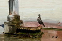 Burano, Venedig, Italy_16