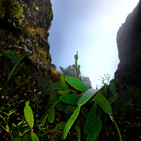 2010-08-14-Teneriffa-LaGomera-007_1