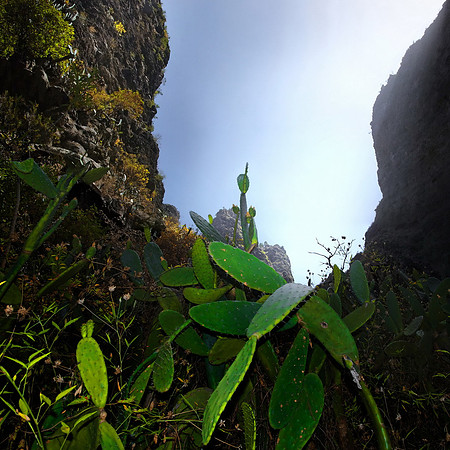 2010-08-14-Teneriffa-LaGomera-007_1