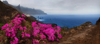 2010-08-14-Teneriffa-LaGomera-017