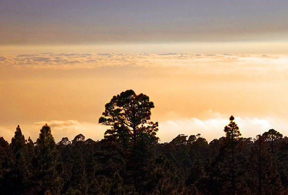 2010-08-14-Teneriffa-LaGomera-065
