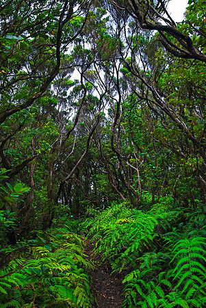 2010-08-14-Teneriffa-LaGomera-020-HDR
