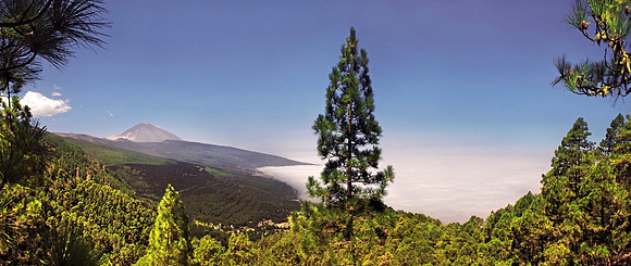 2010-08-14-Teneriffa-LaGomera-040