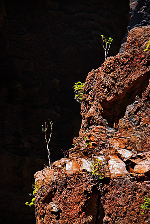 2010-08-14-Teneriffa-LaGomera-050_1