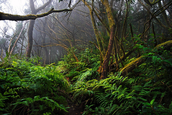 2010-08-14-Teneriffa-LaGomera-025