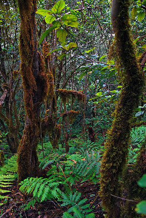 2010-08-14-Teneriffa-LaGomera-021