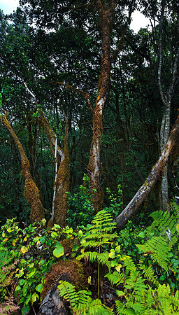 2010-08-14-Teneriffa-LaGomera-022