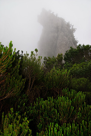 2010-08-14-Teneriffa-LaGomera-024