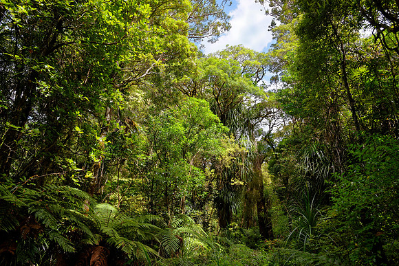 Neuseeland 2015