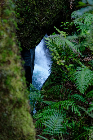 Neuseeland 2015