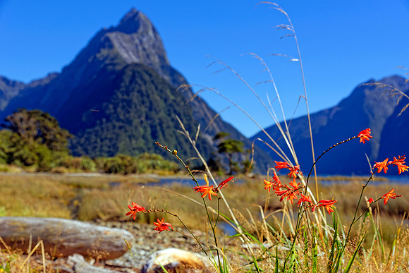 Neuseeland 2015