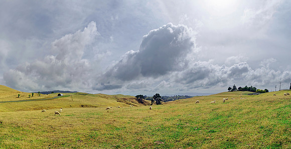 Neuseeland 2015