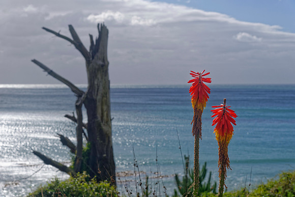 Neuseeland 2015