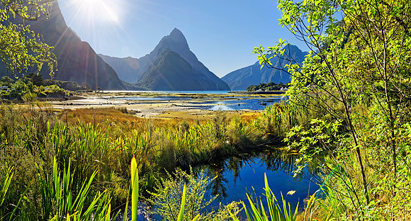 Neuseeland 2015