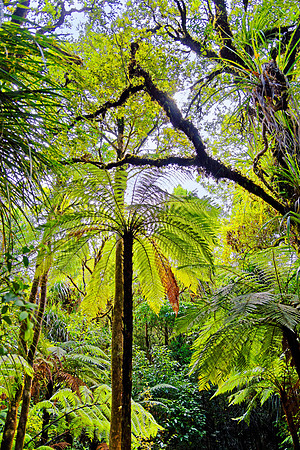 Neuseeland 2015