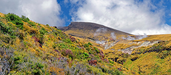 Neuseeland 2015