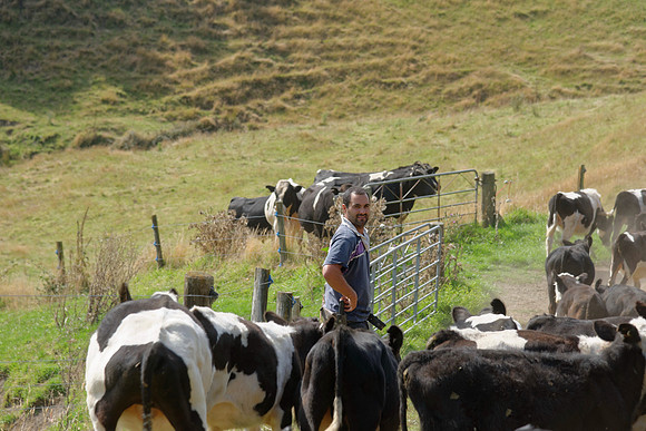 Neuseeland 2015