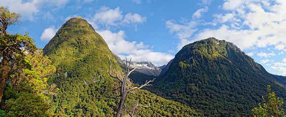 Neuseeland 2015