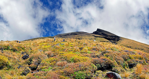 Neuseeland 2015