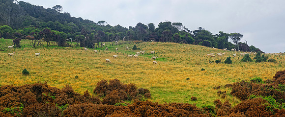 Neuseeland 2015