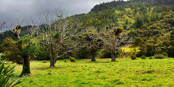 Neuseeland 2015