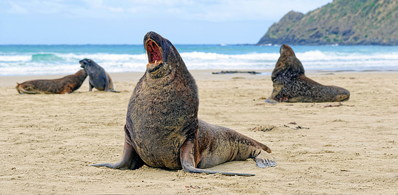 Neuseeland 2015