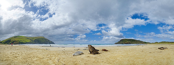 Neuseeland 2015